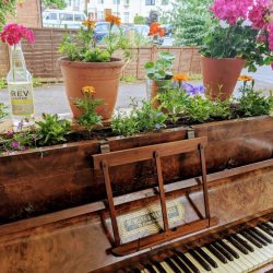 Plants Piano & Porch