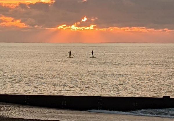 Sunrise paddle boarders